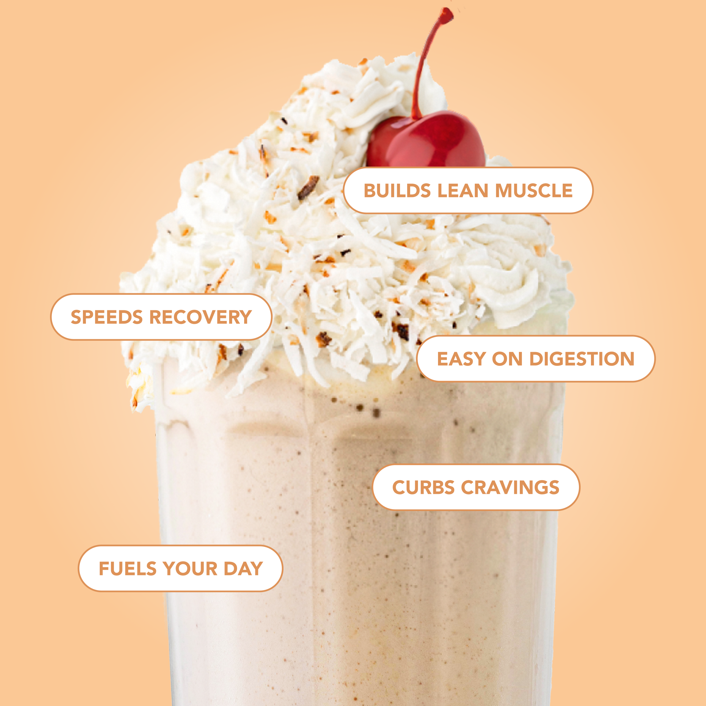 Protein Powder: Coconut Cream (10 Single Serving Stick Packs)