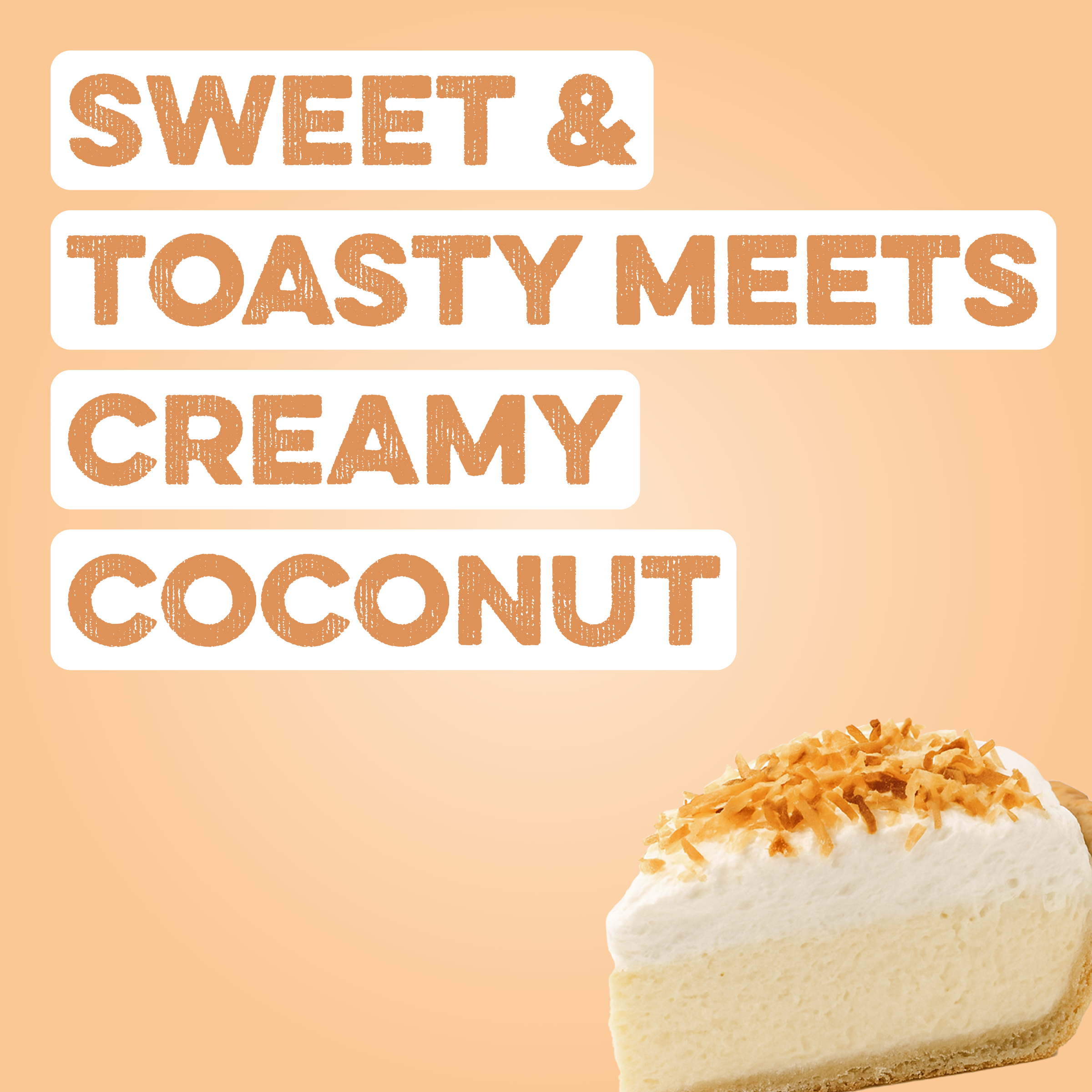 Protein Powder: Coconut Cream (10 Single Serving Stick Packs)