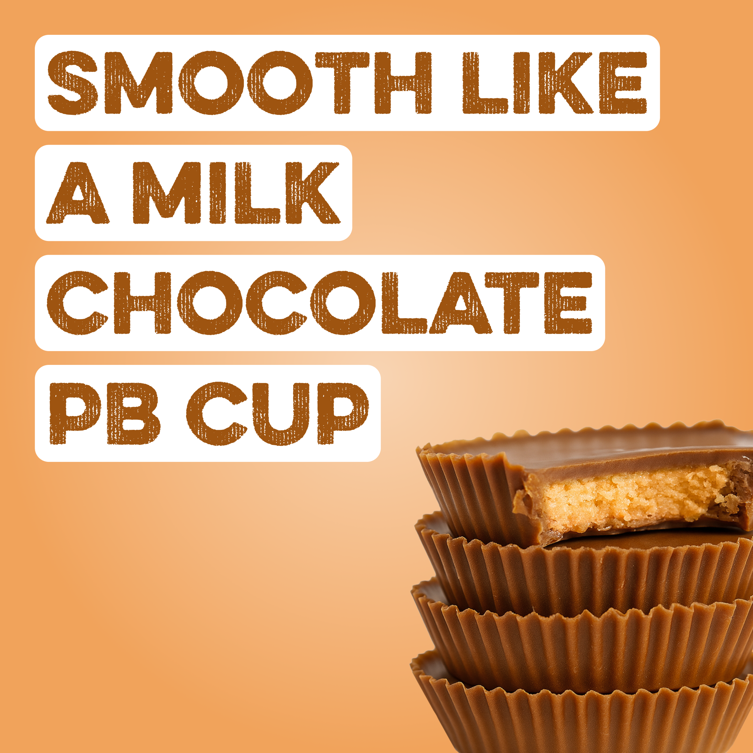 Protein Powder: Chocolate Peanut Butter (10 Single Serving Stick Packs)