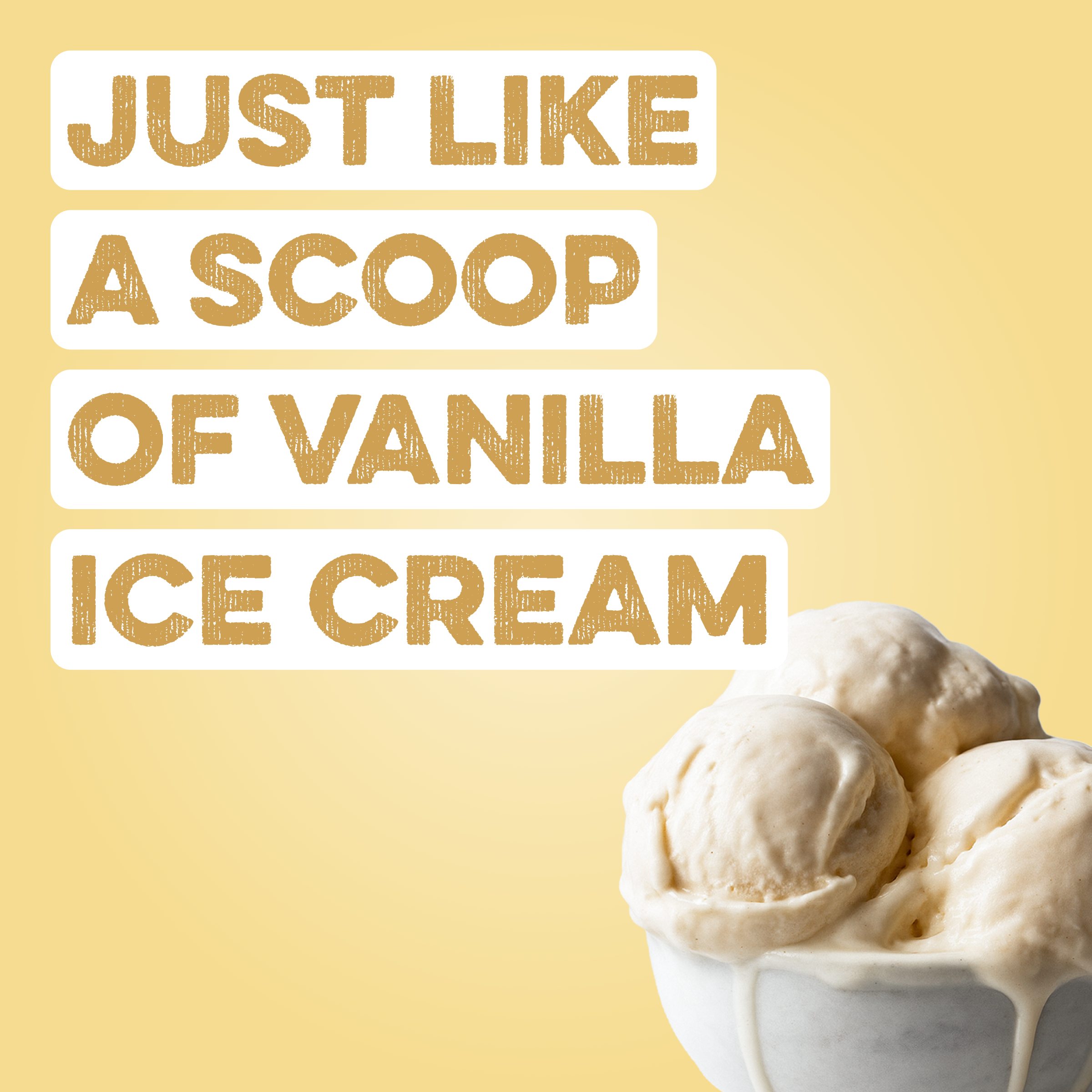 Protein Powder: Simply Vanilla (10 Serving Bag)