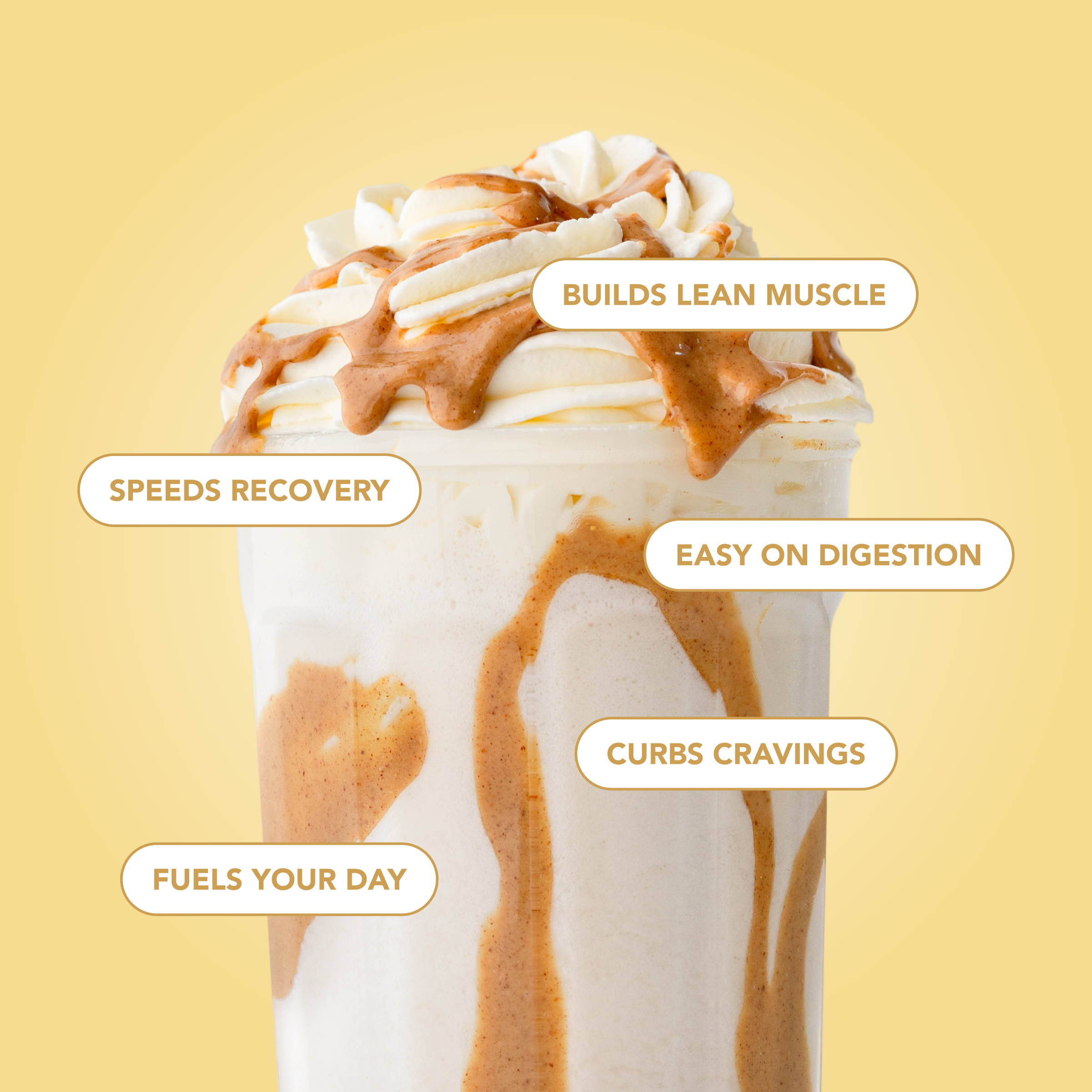 Protein Powder: Simply Vanilla (10 Single Serving Stick Packs)
