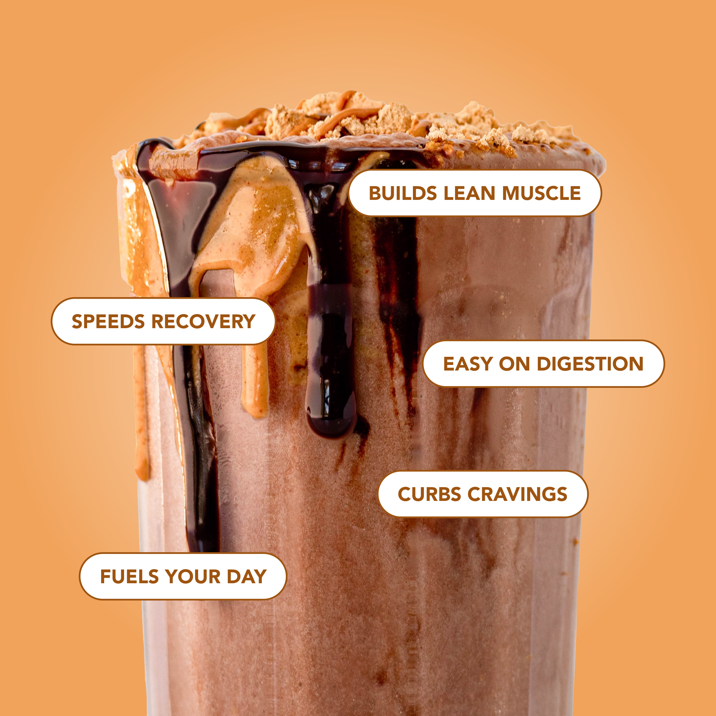 Protein Powder: Chocolate Peanut Butter (20 Serving Bag)
