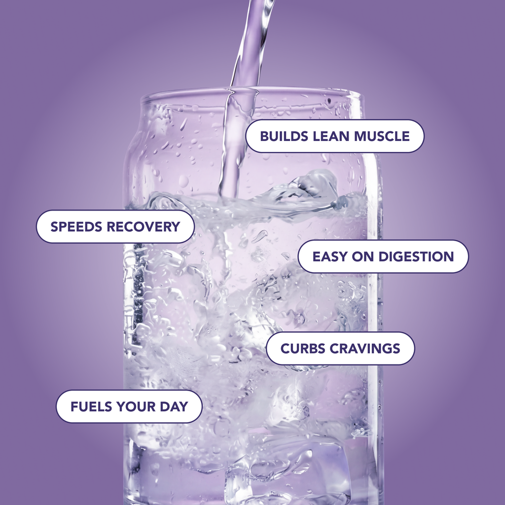 Clear Protein Water: Blackberry Vanilla (12 Oz. | 12 Pack)