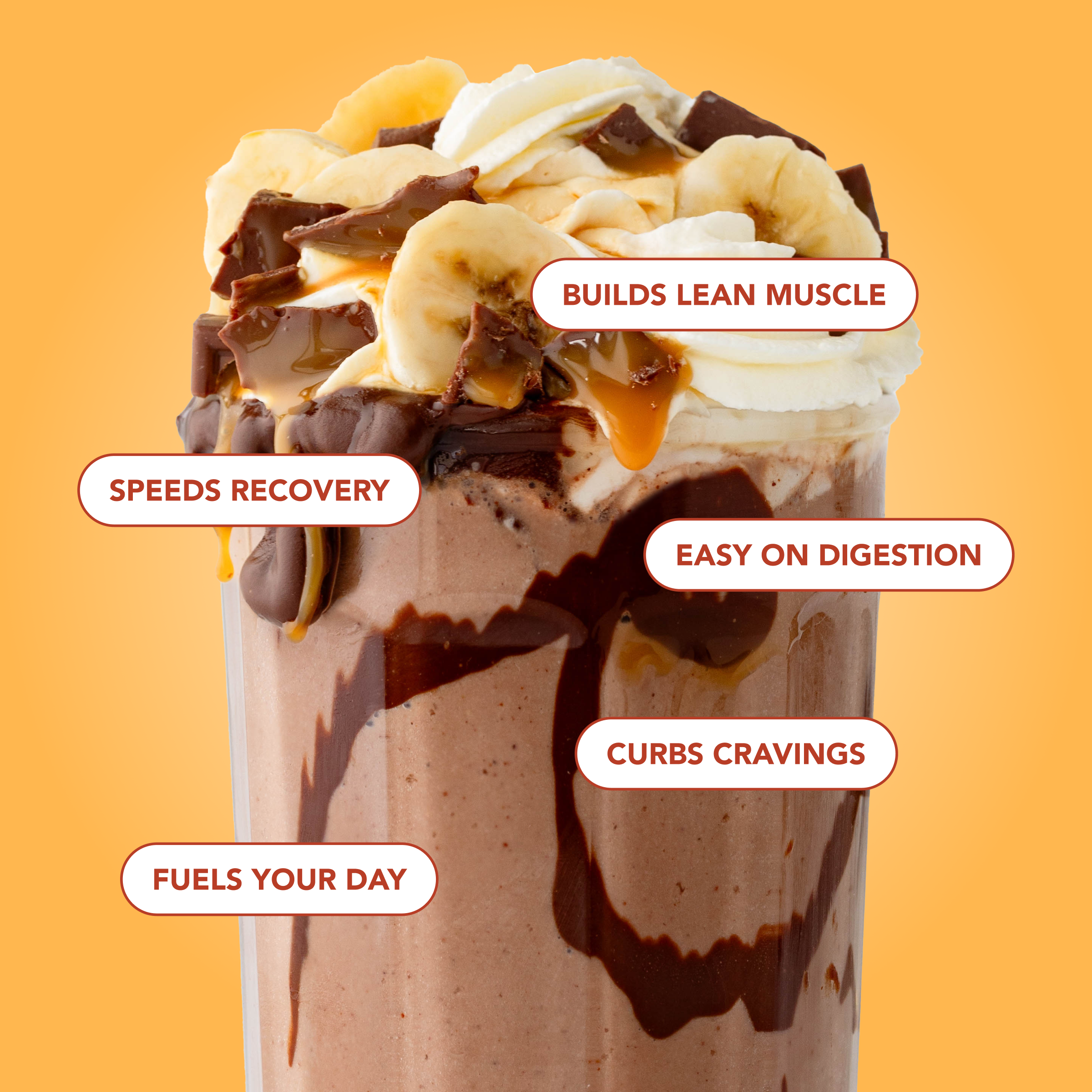 Protein Powder: Caramel Toffee (10 Single Serving Stick Packs)