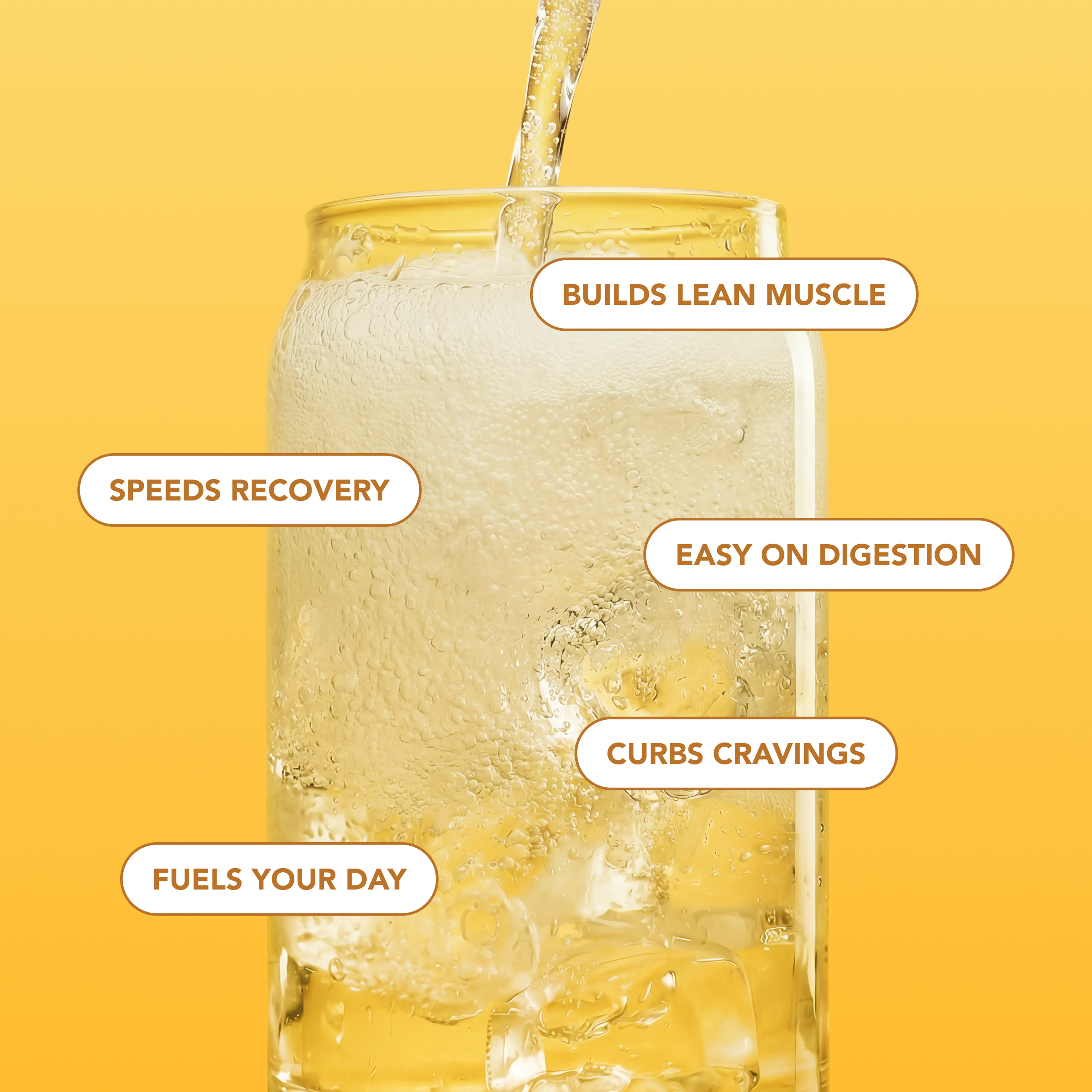 Clear Protein Soda: Frosted Lemonade (12 Oz. | 12 Pack)